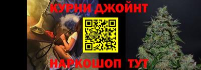 шишки Заволжье