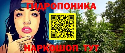 шишки Заволжье