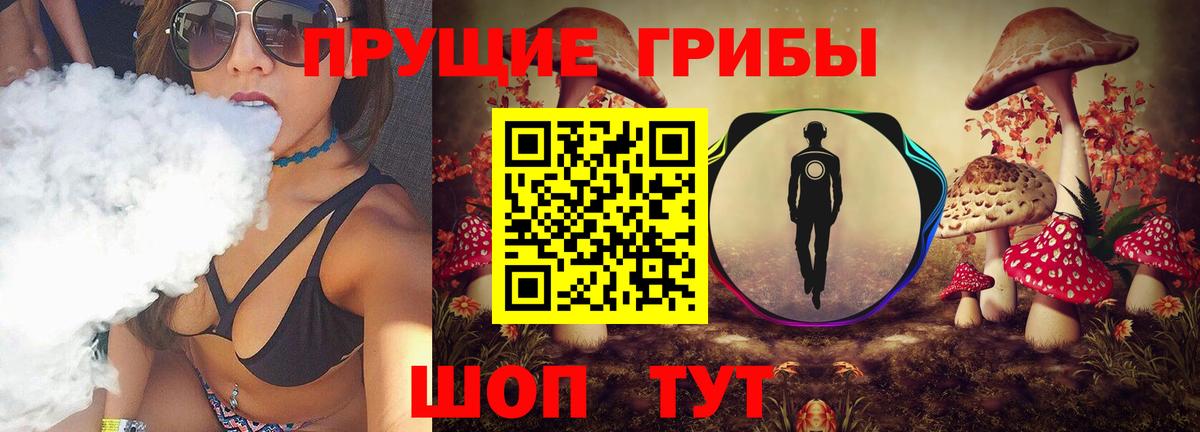 Псилоцибиновые грибы MAGIC MUSHROOMS  Галлюциногенные грибы мицелий  Грозный  Вход с VPN 
