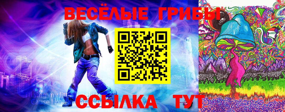 Псилоцибиновые грибы Cubensis Грозный